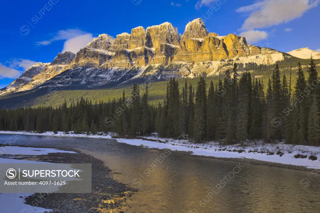 River flowing through a forest, Bow River, Castle Mountain, Banff National Park, Alberta, Canada