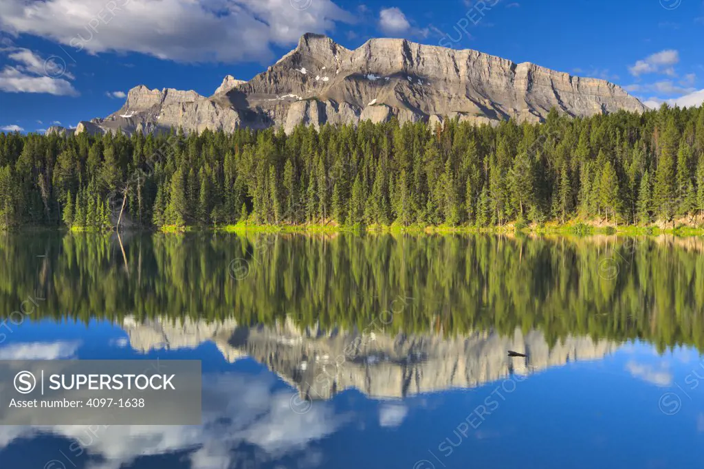 Reflection of trees in a lake, Johnson Lake, Mt Rundle, Banff National Park, Alberta, Canada