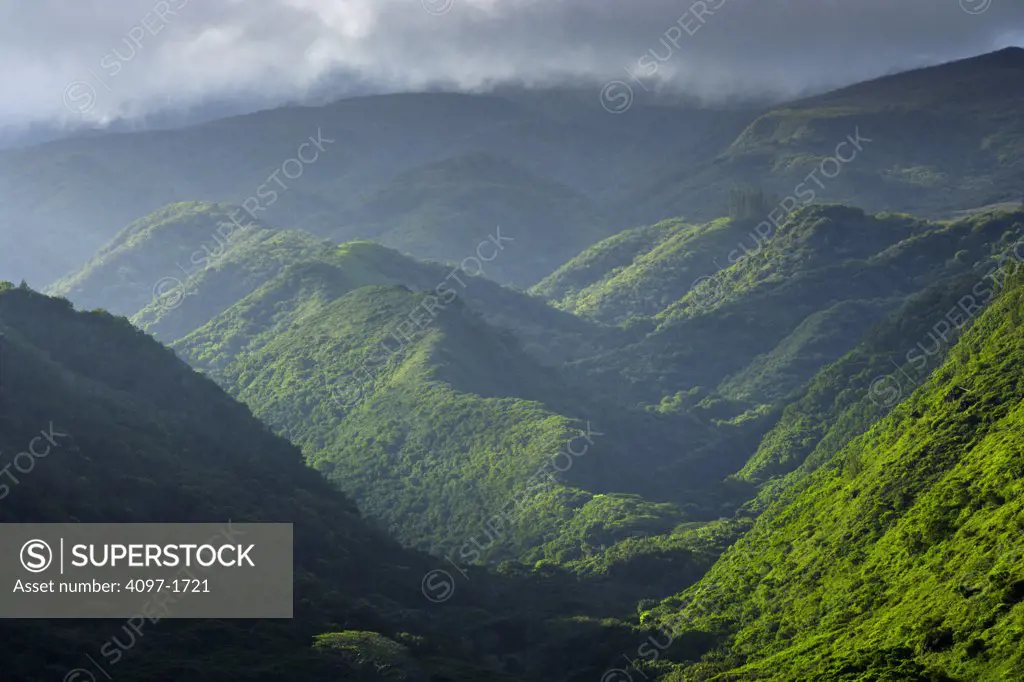 High angle view of rainforest on mountains, West Maui Mountains, Maui, Hawaii, USA