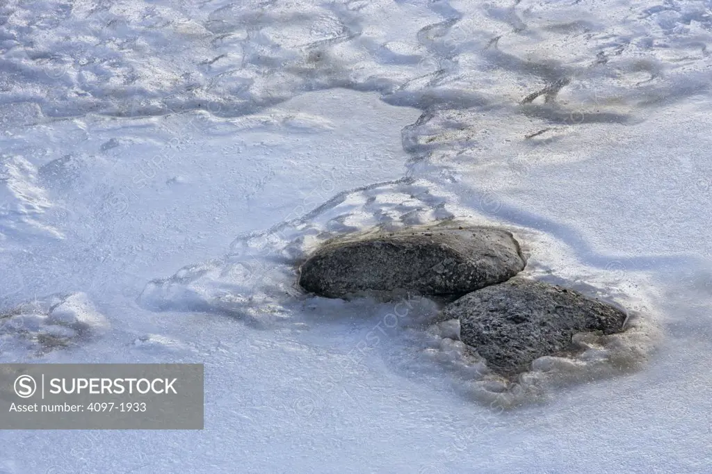 Close-up of snow on rocks in winter, Jasper National Park, Alberta, Canada
