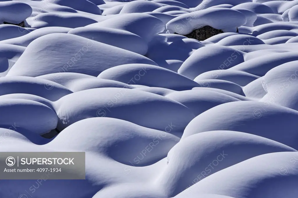 Close-up of snow mounds, Jasper National Park, Alberta, Canada