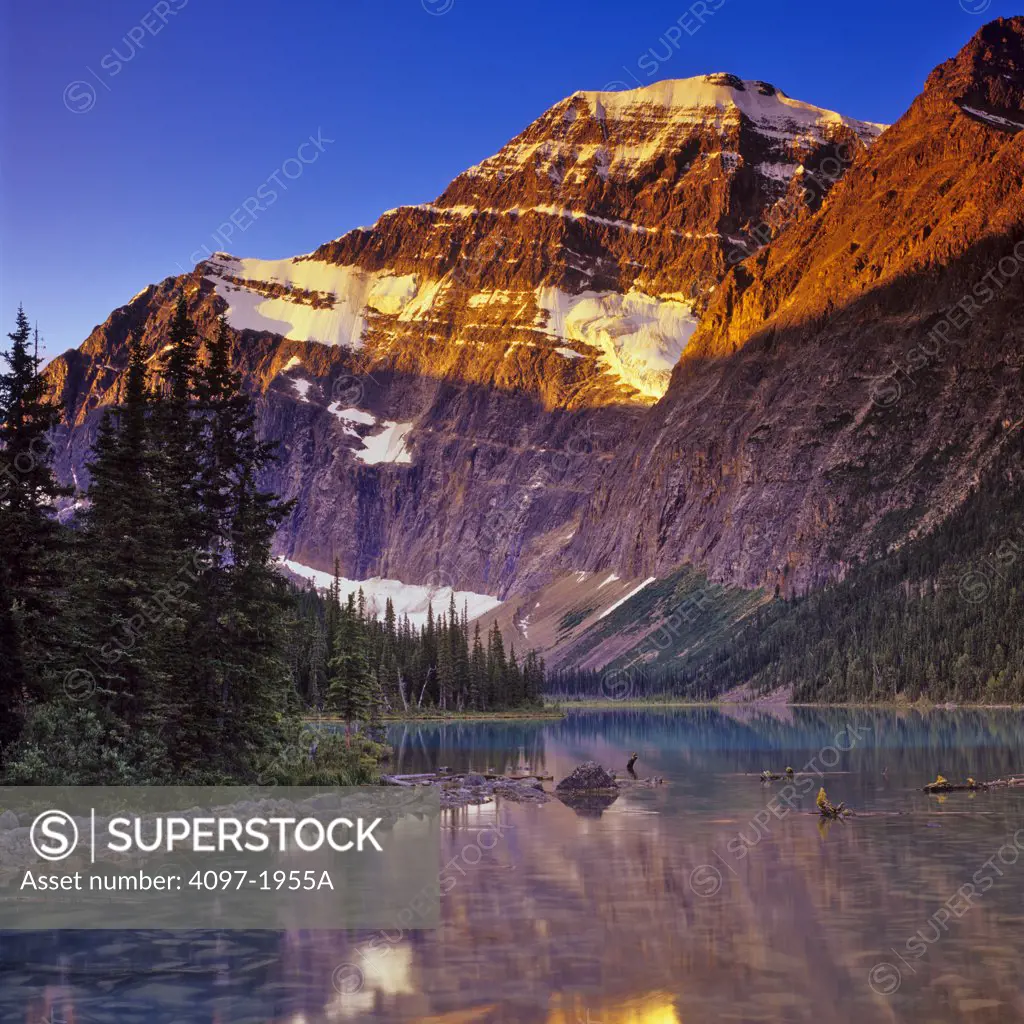Reflection of a mountain in water, Cavell Lake, Mt Edith Cavell, Jasper National Park, Alberta, Canada