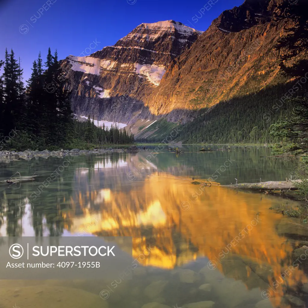 Reflection of a mountain in water, Cavell Lake, Mt Edith Cavell, Jasper National Park, Alberta, Canada