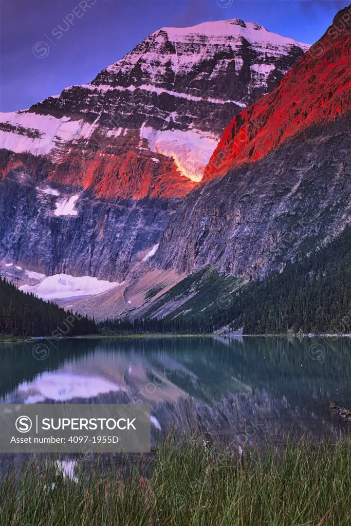 Reflection of a mountain in water, Cavell Lake, Mt Edith Cavell, Angel Glacier, Jasper National Park, Alberta, Canada