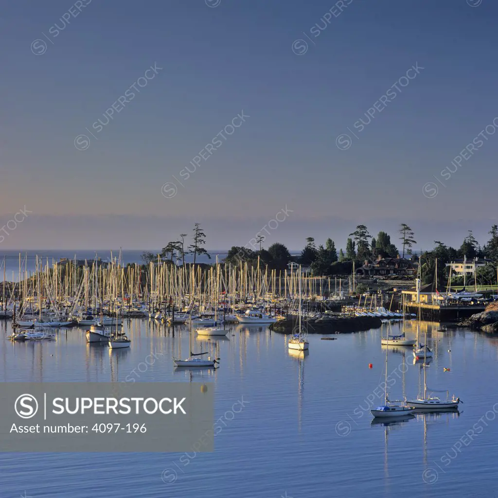 Boats in the sea, Royal Victoria Yacht Club, Victoria, Vancouver Island, British Columbia, Canada