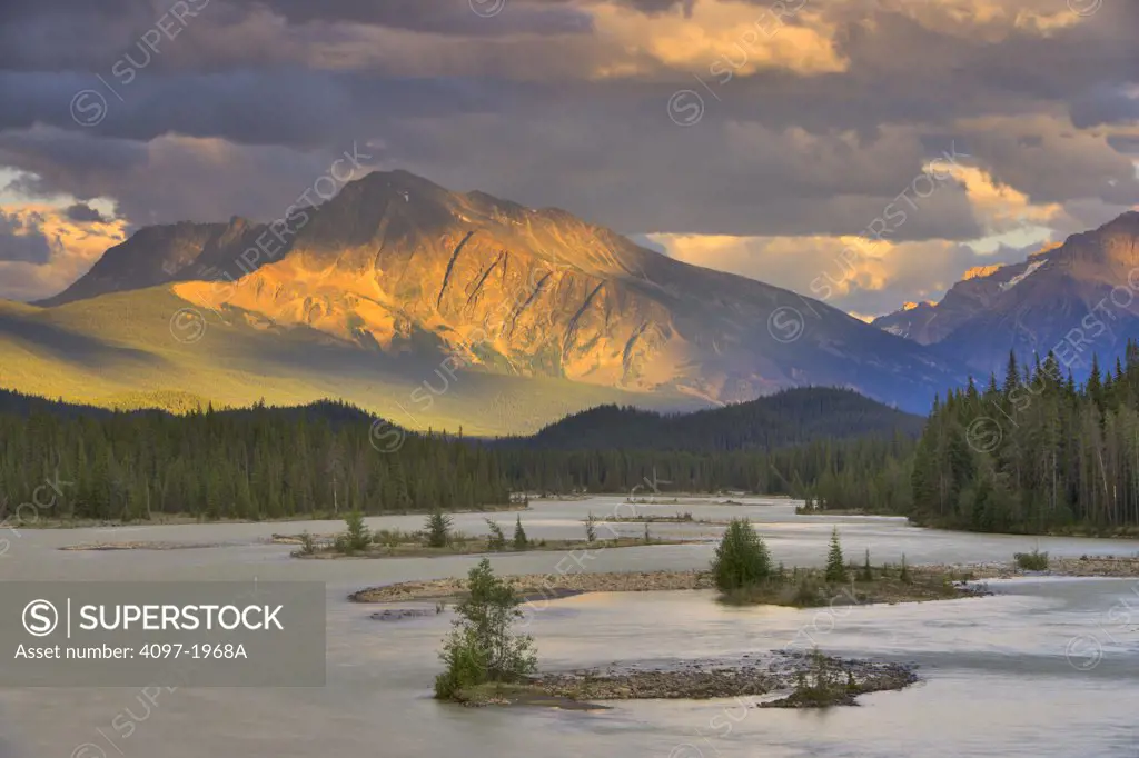 River flowing with a mountain in the background, Athabasca River, Mt Andromeda, Jasper National Park, Alberta, Canada
