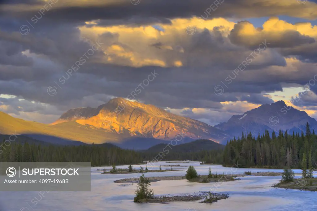 River flowing with a mountain in the background, Athabasca River, Mt Andromeda, Jasper National Park, Alberta, Canada
