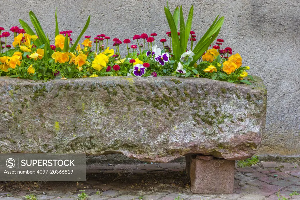 rustic flower pot in Kaysersberg, France