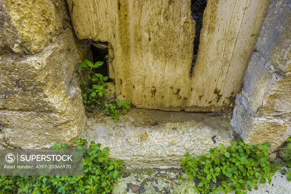 Rustic doorway, Provence, France