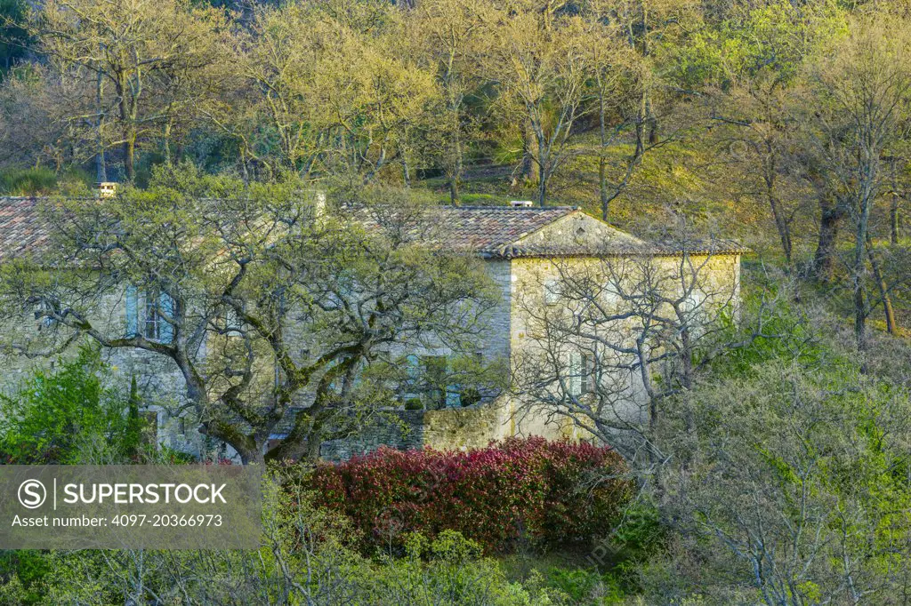 Vinyard estate in spring, Provence, France