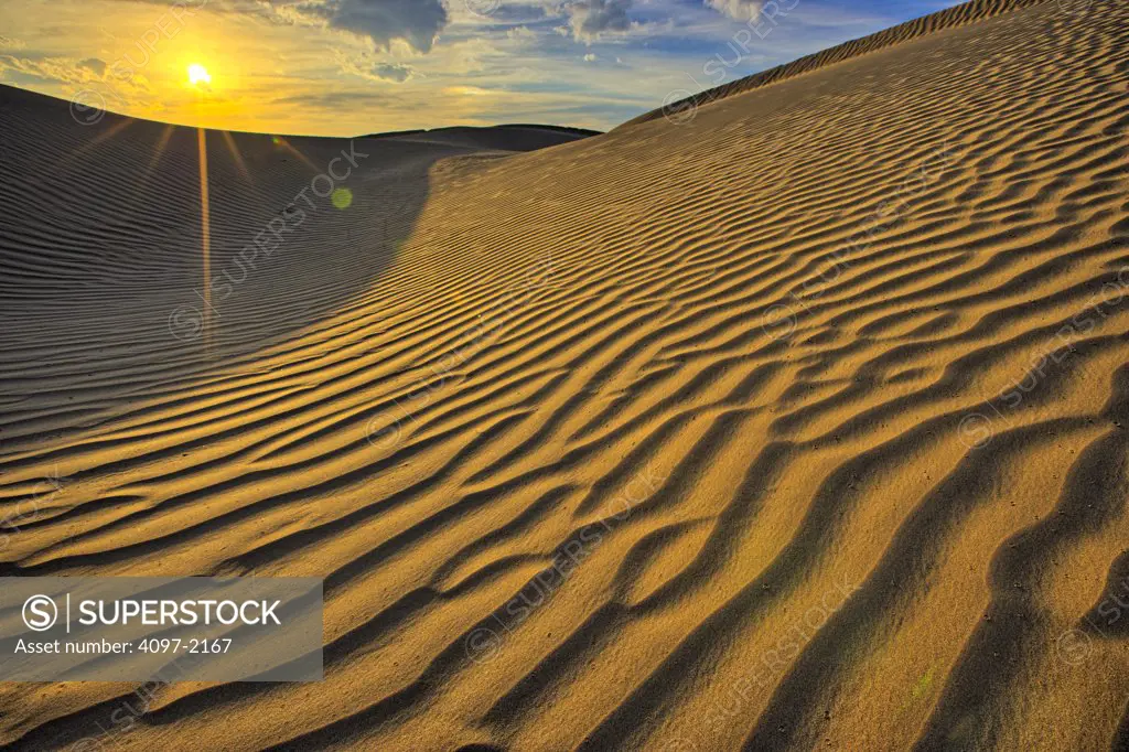 Sand dunes in a desert, Mesquite Flat Dunes, Death Valley National Park, California, USA