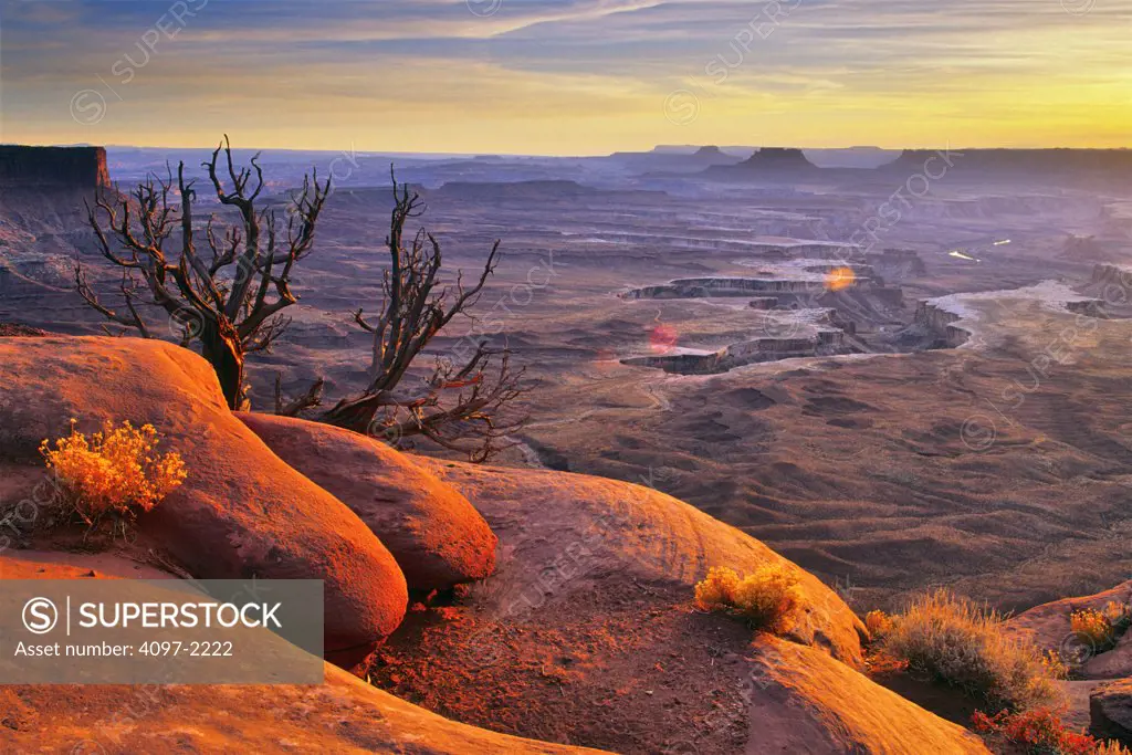 Rock formations in a canyon, Green River, Island In The Sky, Canyonlands National Park, Utah, USA