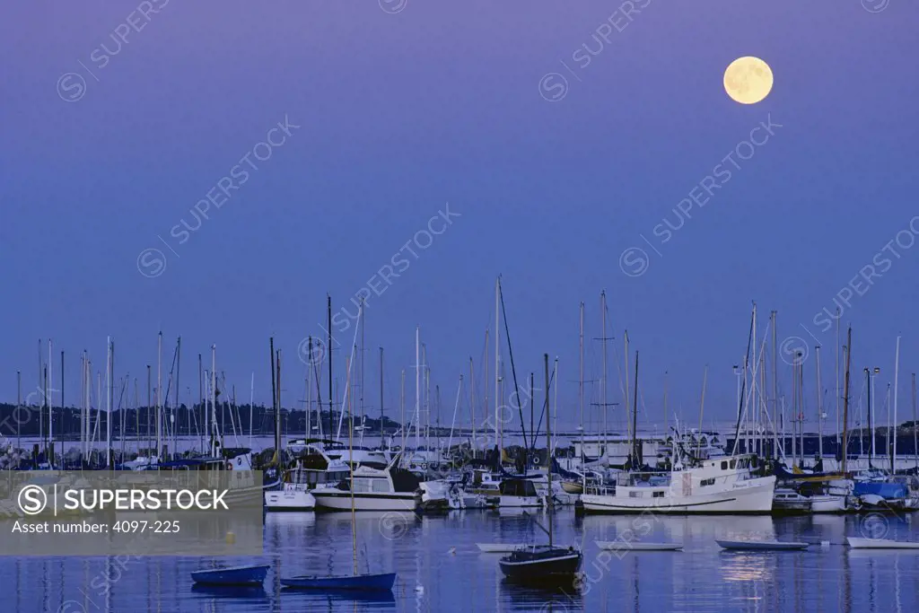 Boats in the sea, Oak Bay Marina, Victoria, Vancouver Island, British Columbia, Canada