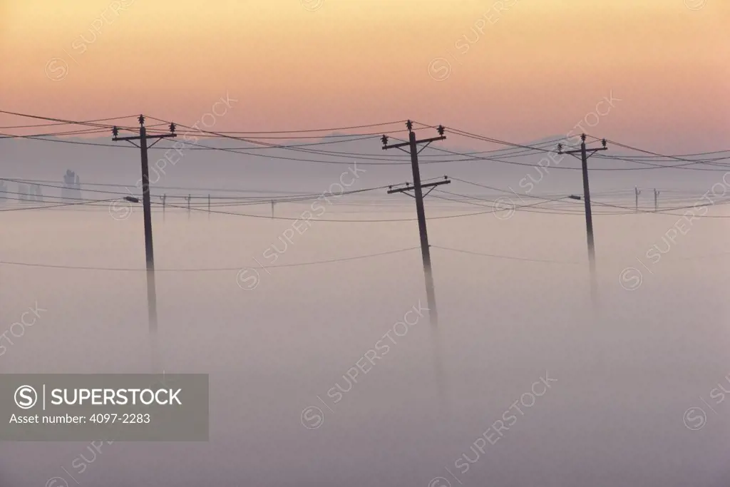 Electric poles in fog, Fraser Valley, British Columbia, Canada