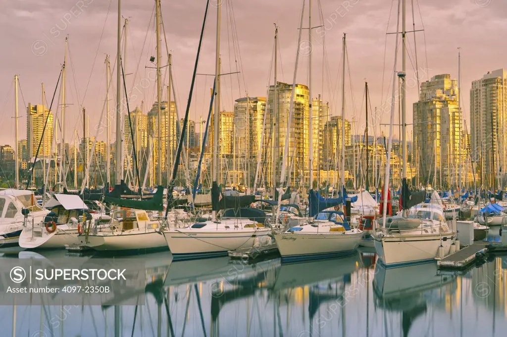Sailboats at a marina with city skyline in the background, False Creek, Coal Harbor, Vancouver, British Columbia, Canada