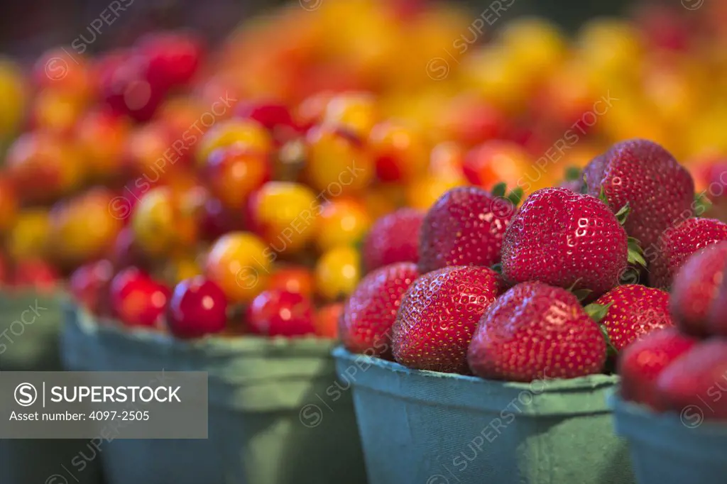 Fruits at a market stall, Granville Island, Vancouver, British Columbia, Canada