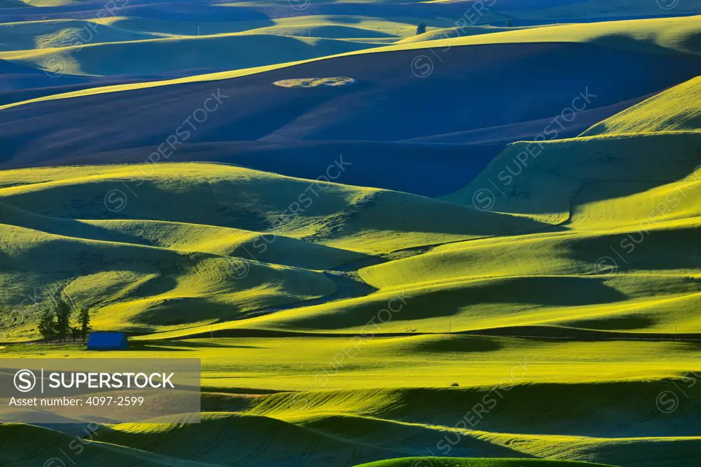 High angle view of rolling hills, Palouse, Washington State, USA