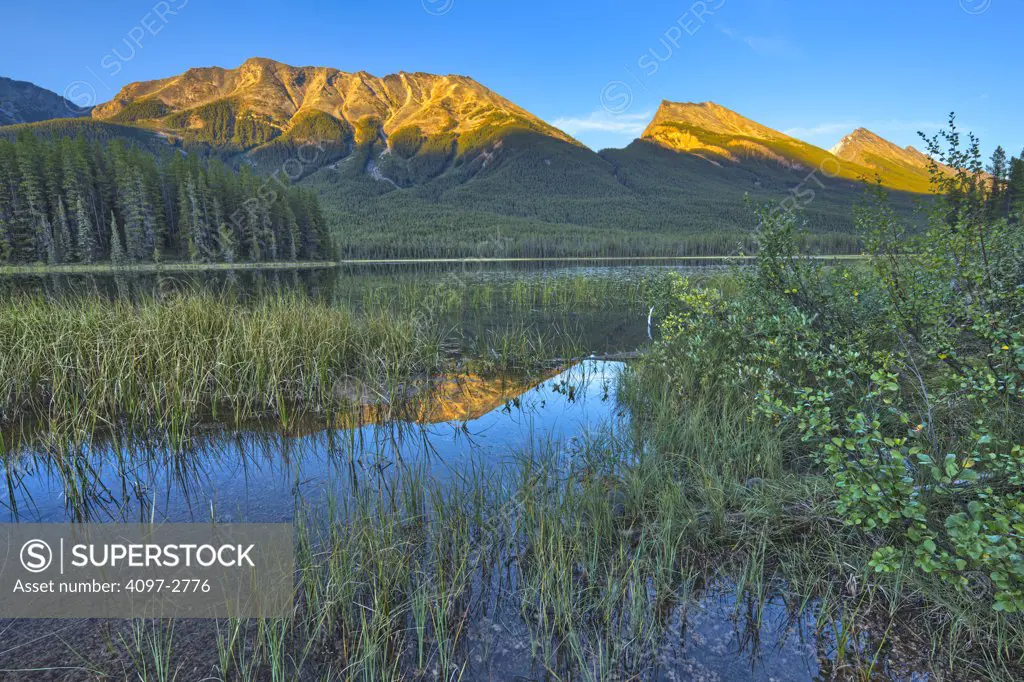 Lake with a mountain range in the background, Buck Lake, Jasper National Park, Alberta, Canada