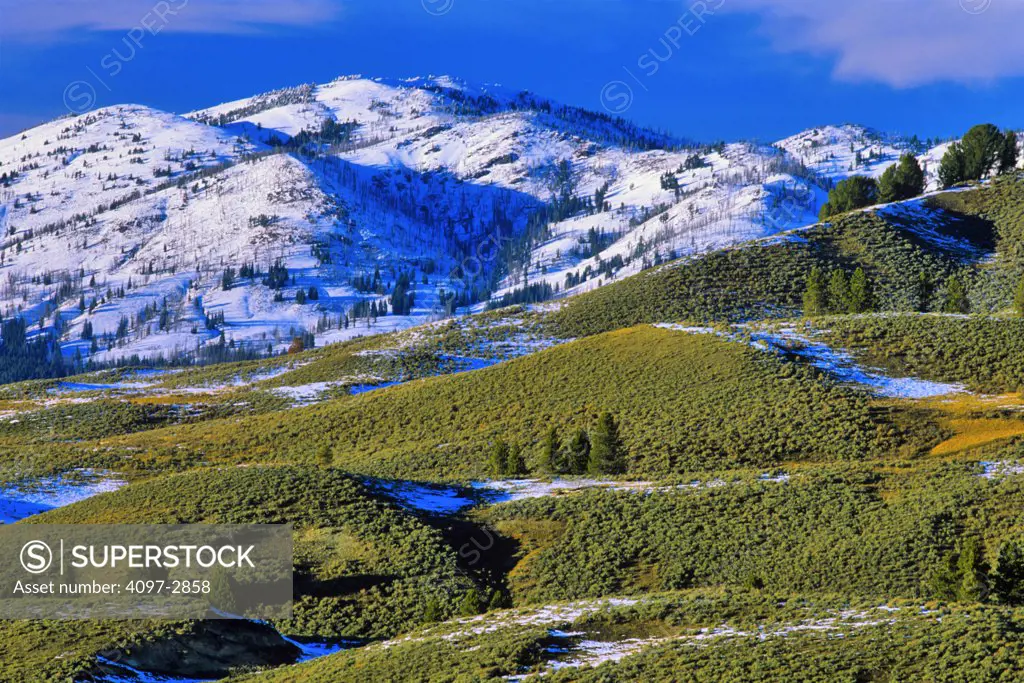 Valley with a mountain range in the background, Washburn Range, Lamar Valley, Yellowstone National Park, Wyoming, USA
