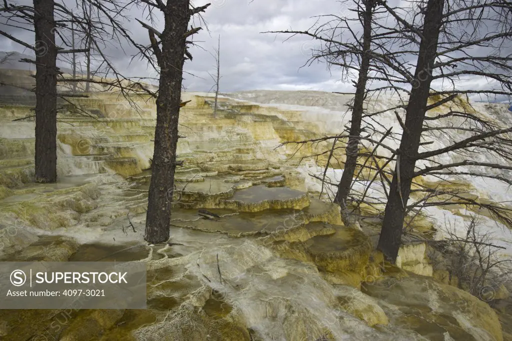Mineral deposits at a hot spring, Mammoth Hot Springs, Yellowstone National Park, Wyoming, USA