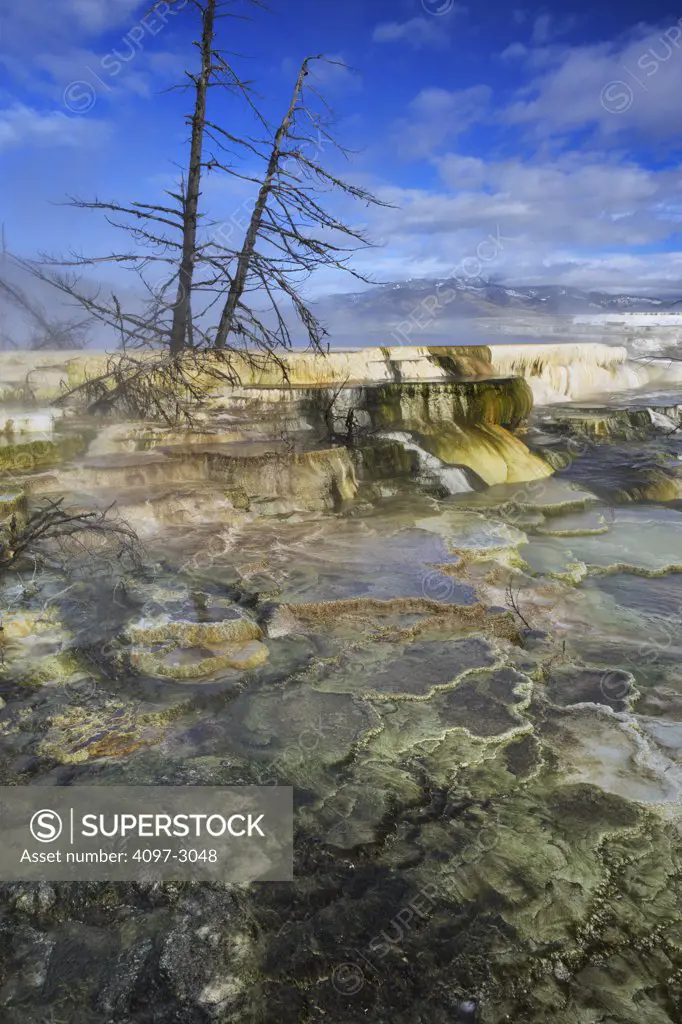 Mineral deposits at a hot spring, Mammoth Hot Springs, Yellowstone National Park, Wyoming, USA