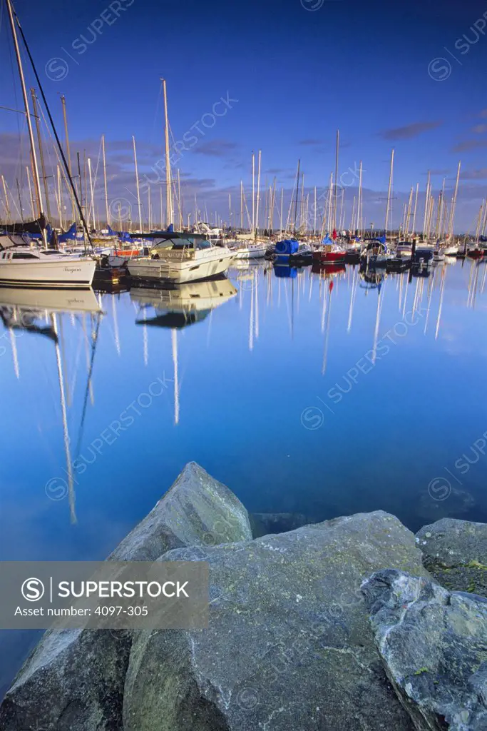 Boats docked at a harbor, Oak Bay Marina, Victoria, Vancouver Island, British Columbia, Canada