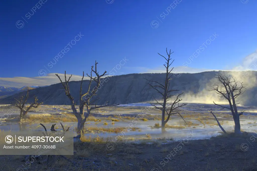 Steam erupting from a hot spring, Mammoth Hot Springs, Yellowstone National Park, Wyoming, USA