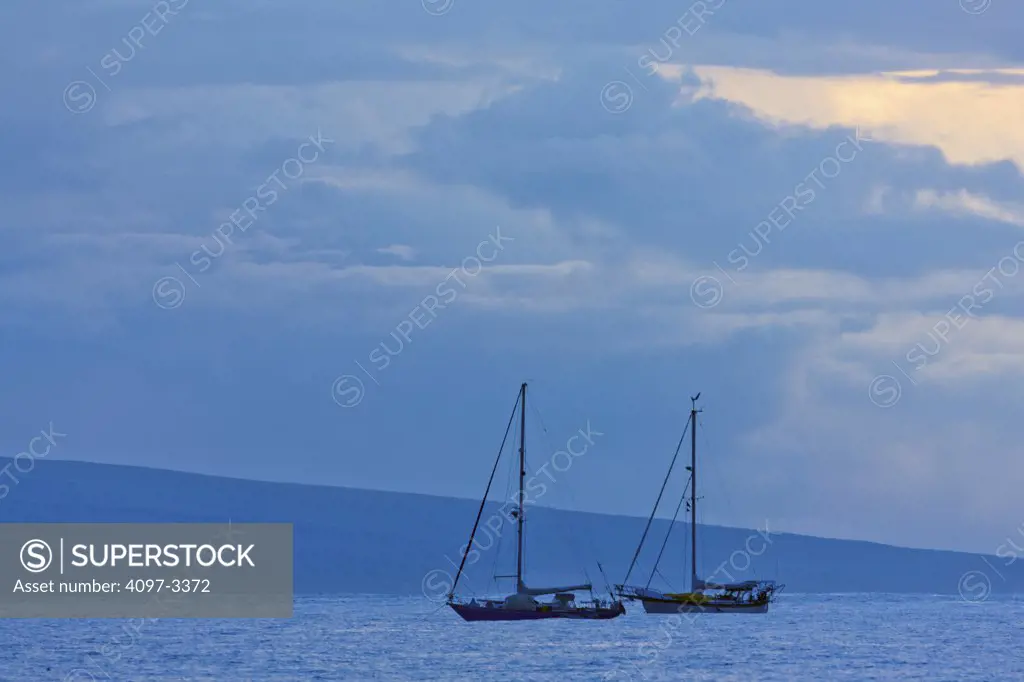 Sailboats in the ocean, Lahaina Harbor, Lahaina, Maui, Hawaii, USA