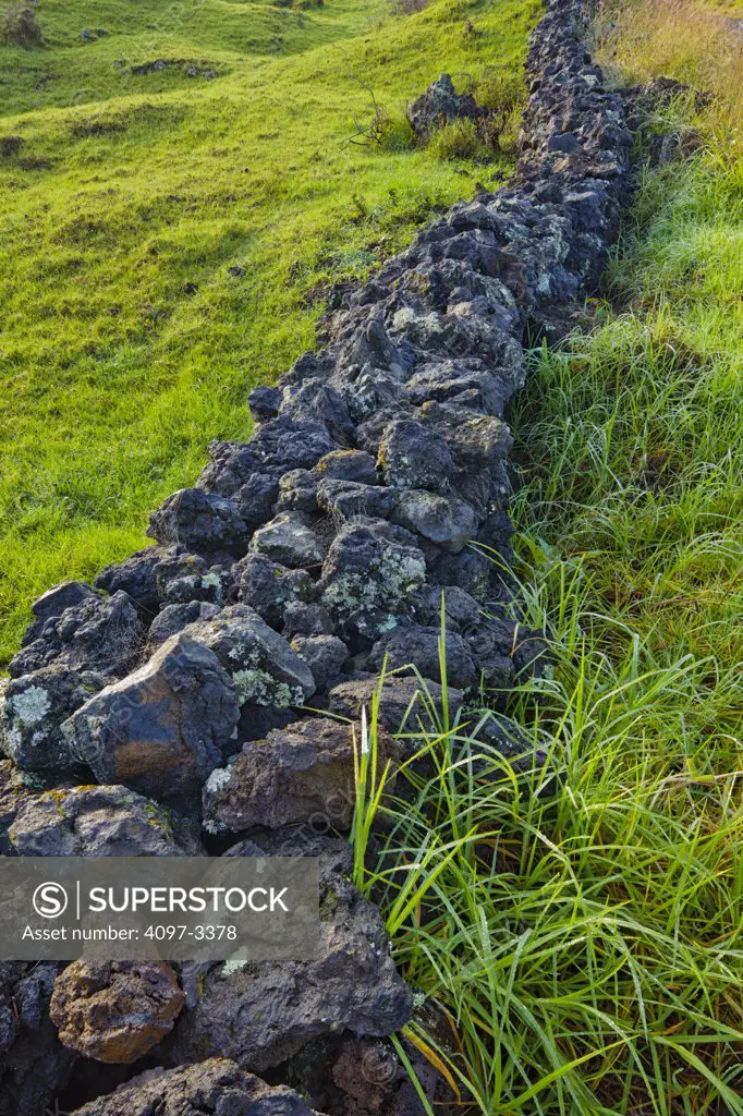 Stone wall in a field, Maui, Hawaii, USA