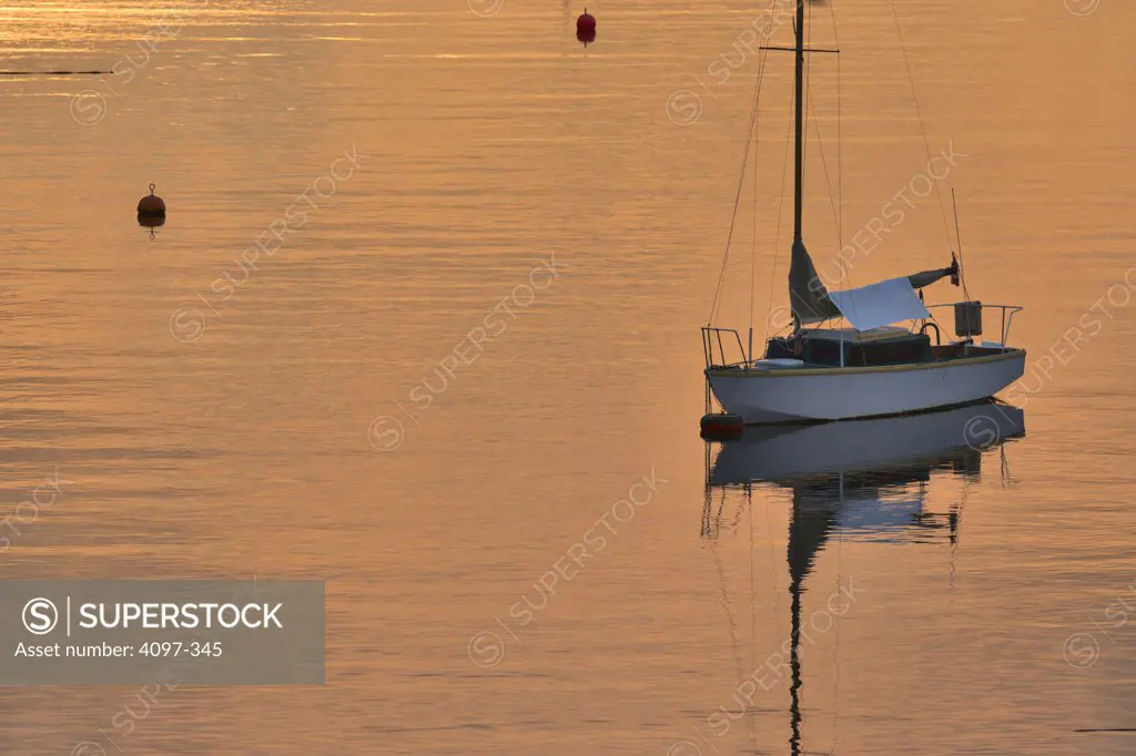Sailboat in the sea, Royal Victoria Yacht Club, Victoria, Vancouver Island, British Columbia, Canada