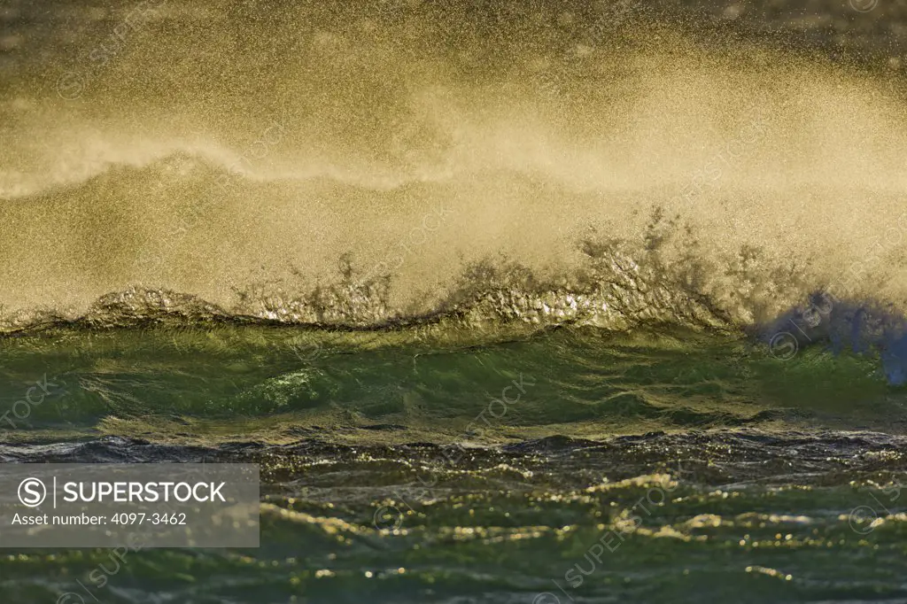 Waves breaking in the ocean, Maui, Hawaii, USA