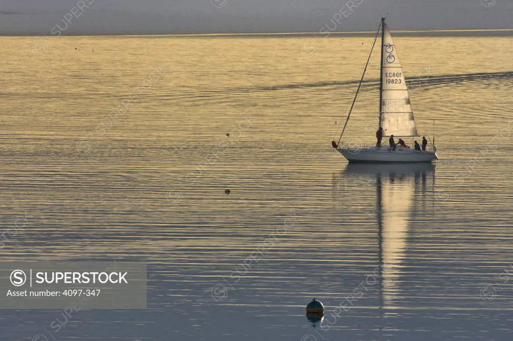 Sailboat in the sea, Royal Victoria Yacht Club, Victoria, Vancouver Island, British Columbia, Canada