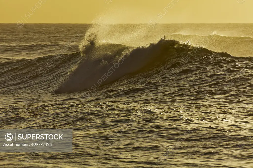 Waves breaking in the ocean, Maui, Hawaii, USA