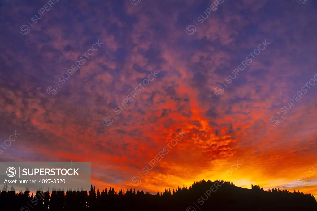 Clouds over mountains at sunrise, Hurricane Ridge, Olympic National Park, Washington State, USA