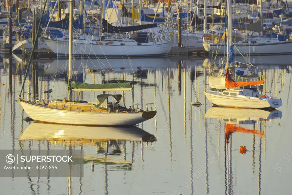 Sailboats in the sea, Royal Victoria Yacht Club, Victoria, Vancouver Island, British Columbia, Canada