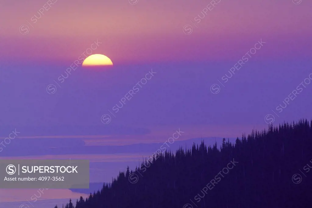 Silhouette of trees on mountain at sunrise, Strait Of Juan De Fuca, Olympic National Park, Washington State, USA