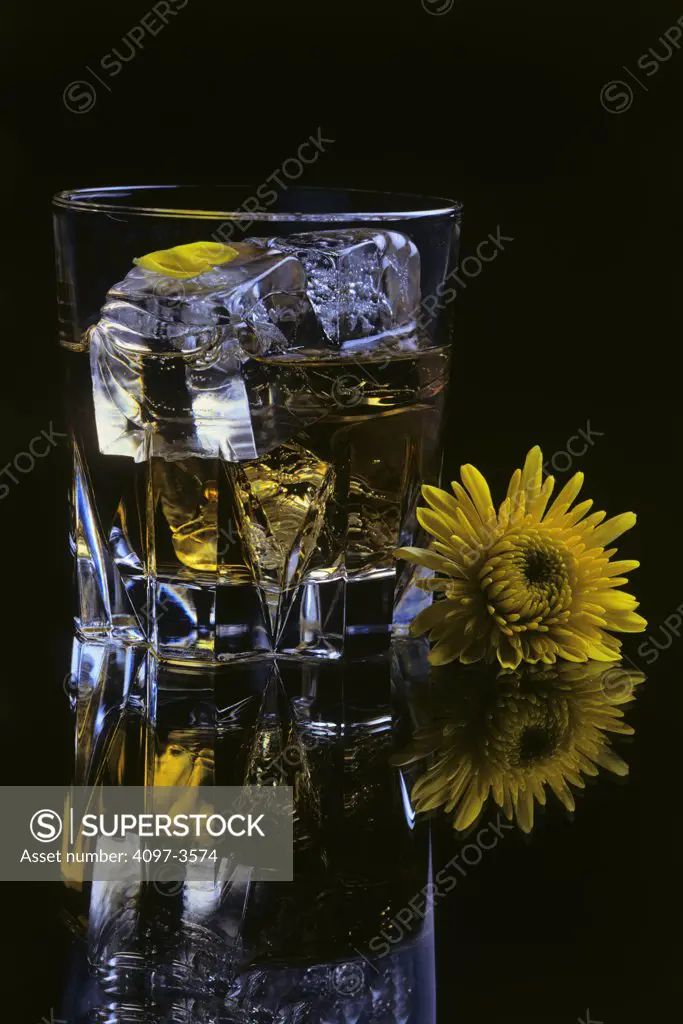 Close-up of a glass of whiskey with a sunflower