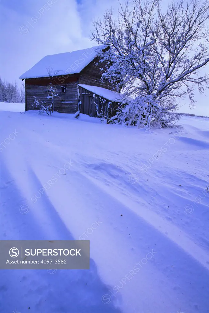 Abandoned barn in a snow covered landscape, Manitoba, Canada