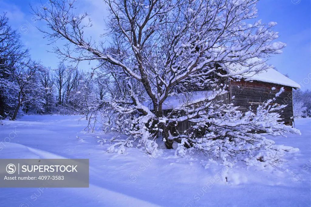 Abandoned barn in a snow covered landscape, Manitoba, Canada