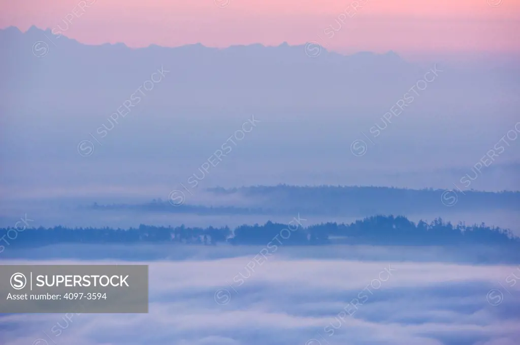 Foggy morning, Vancouver Island, British Columbia, Canada