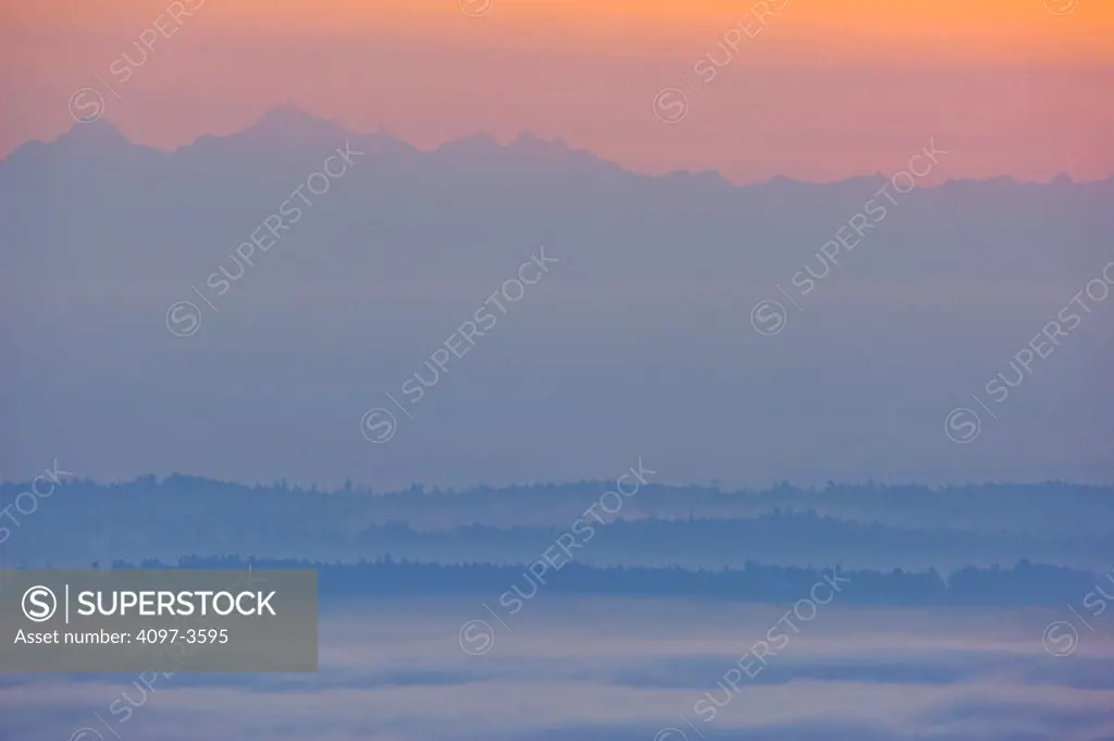 Foggy morning, San Juan Islands, Vancouver Island, British Columbia, Canada