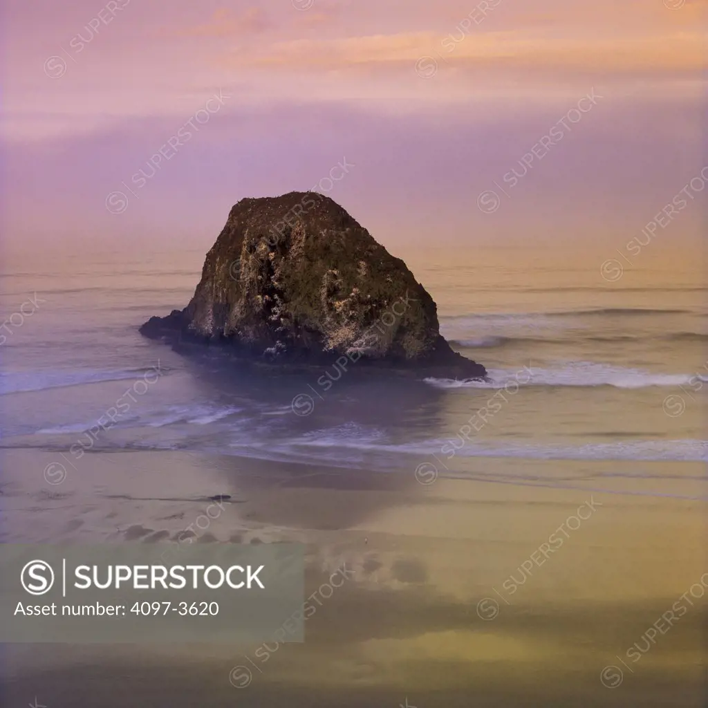 Rock formation in the ocean, Cannon Beach, Oregon Coast, Oregon, USA