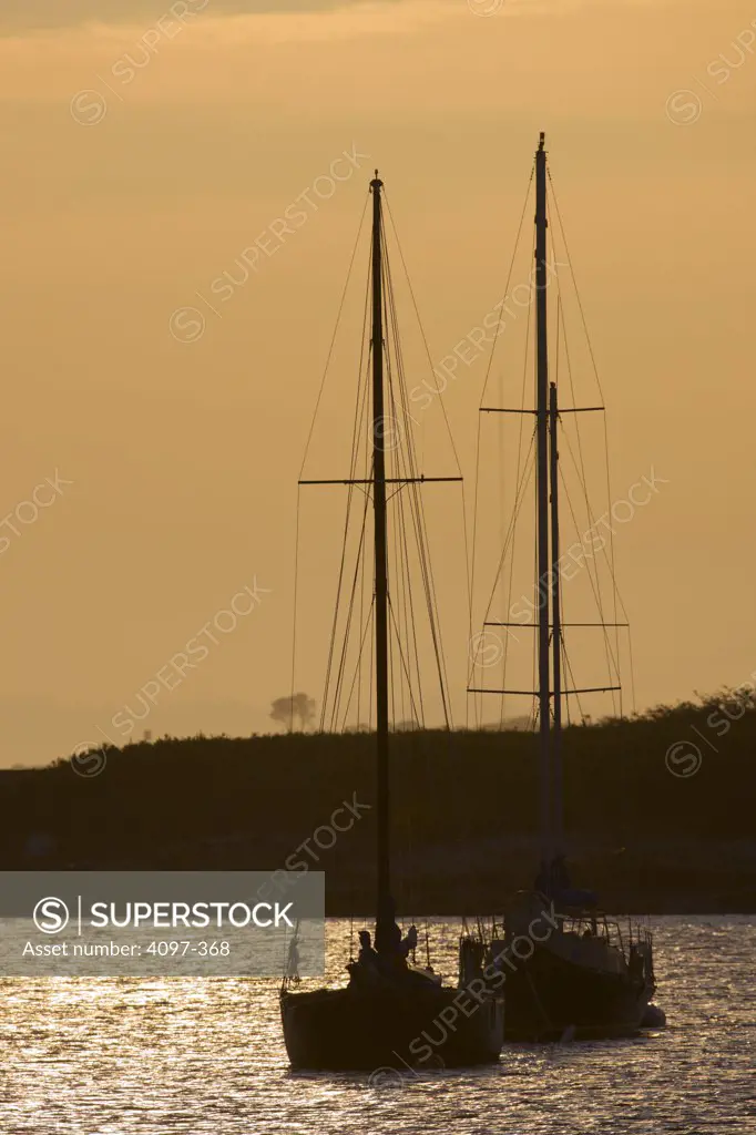 Sailboats racing in the sea, Oak Bay, Victoria, Vancouver Island, British Columbia, Canada