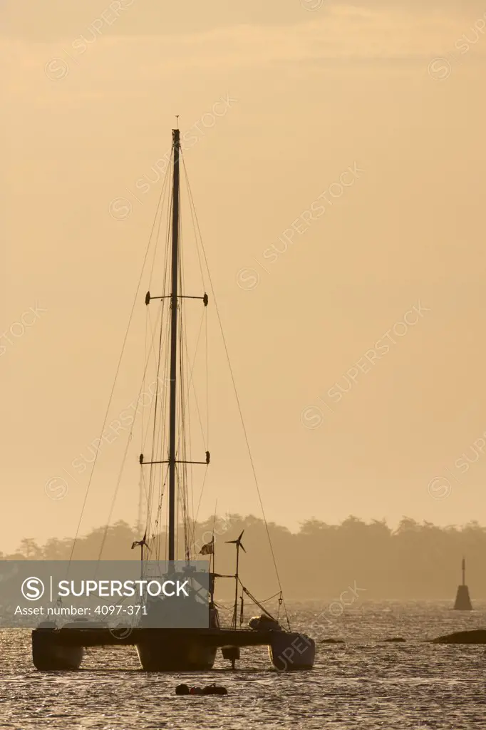 Sailboats racing in the sea, Oak Bay, Victoria, Vancouver Island, British Columbia, Canada