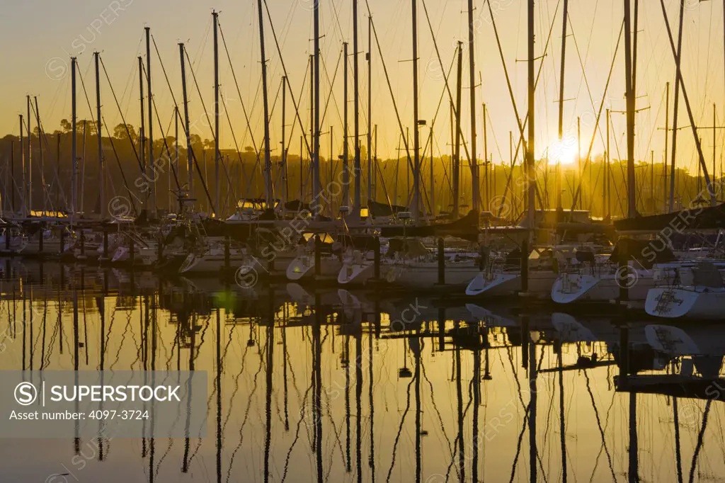Sailboats at a harbor, Sausalito, Marin County, California, USA