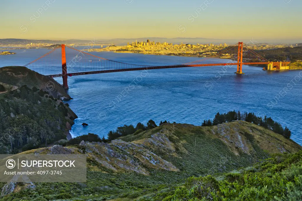 Suspension bridge across the bay viewed from Hawk Hill, Golden Gate Bridge, San Francisco Bay, San Francisco, California, USA