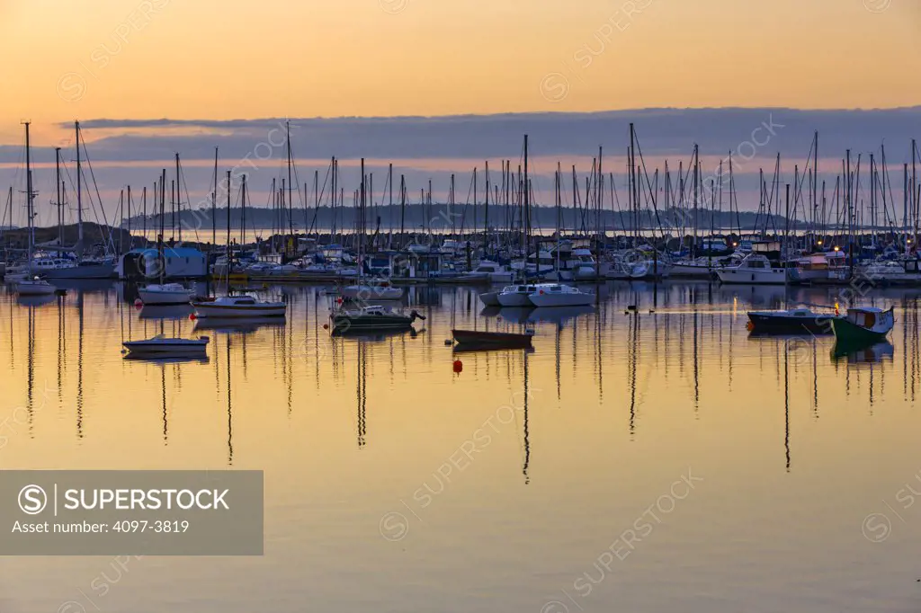 Canada, British Columbia, Victoria, sailing boats floating on water at sunrise
