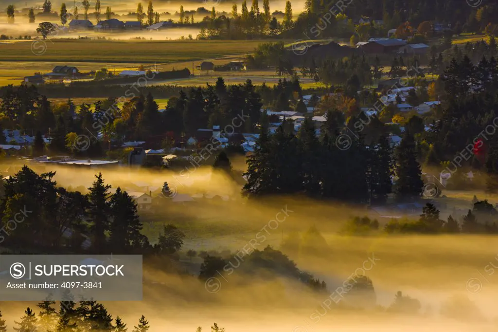 Canada, British Columbia, Saanich Penisula, rural scene in fog