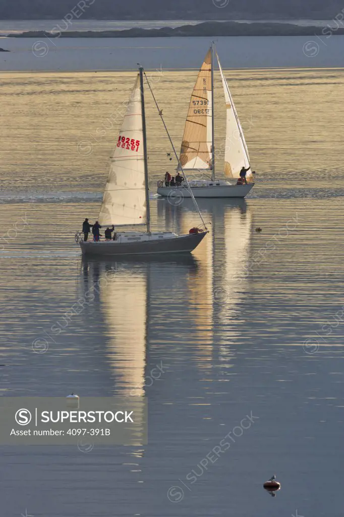 Sailboats racing in the sea, Royal Victoria Yacht Club, Victoria, Vancouver Island, British Columbia, Canada