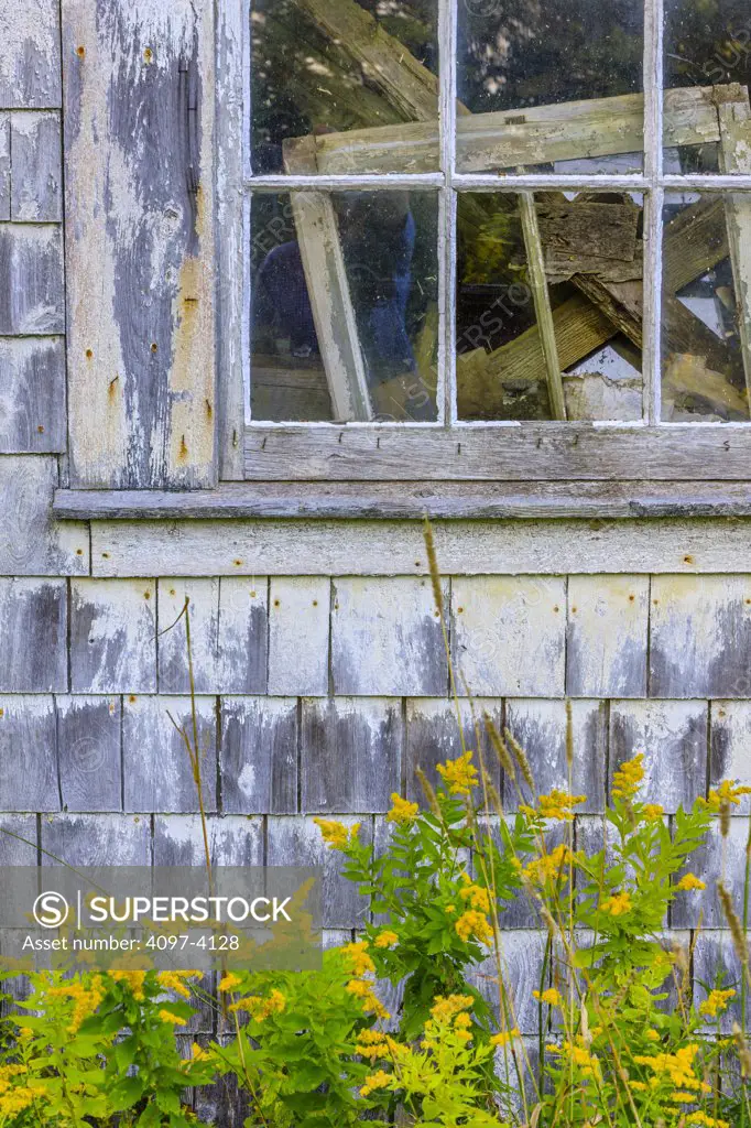 Window of an abandoned farmhouse, Prince Edward Island, Canada